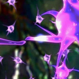 3D Animasyon | Medikal Modelleme