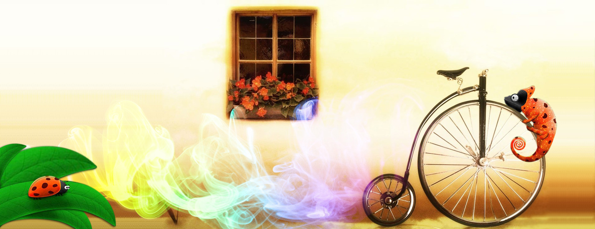 İletilim Sanatları Firma Profili